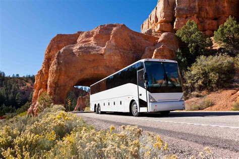 tour company.